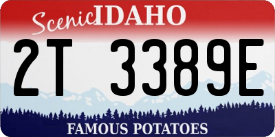 ID license plate 2T3389E