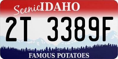 ID license plate 2T3389F