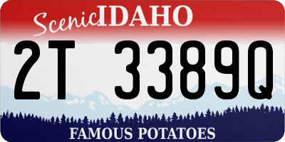 ID license plate 2T3389Q