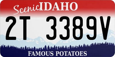ID license plate 2T3389V