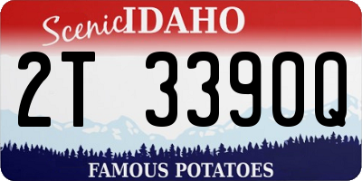 ID license plate 2T3390Q