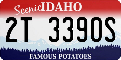 ID license plate 2T3390S