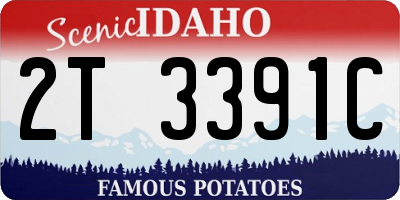 ID license plate 2T3391C