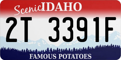 ID license plate 2T3391F