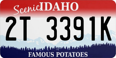 ID license plate 2T3391K
