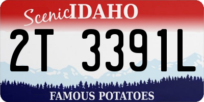 ID license plate 2T3391L