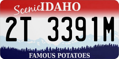 ID license plate 2T3391M
