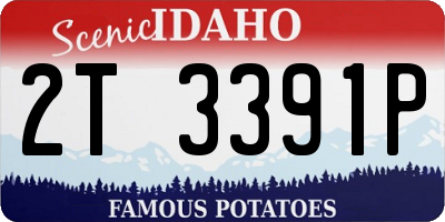 ID license plate 2T3391P