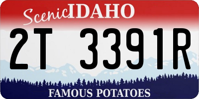 ID license plate 2T3391R