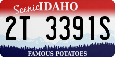 ID license plate 2T3391S