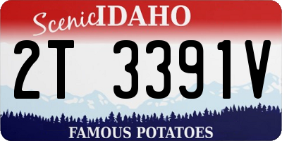 ID license plate 2T3391V