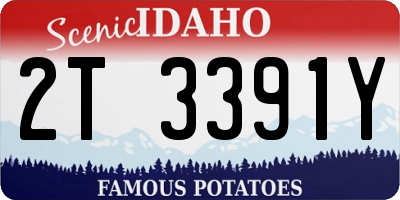 ID license plate 2T3391Y