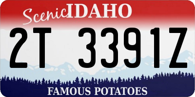 ID license plate 2T3391Z