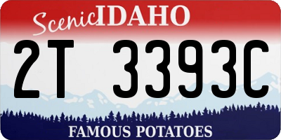 ID license plate 2T3393C