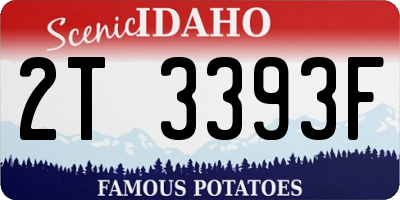ID license plate 2T3393F