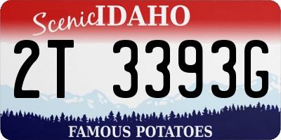 ID license plate 2T3393G
