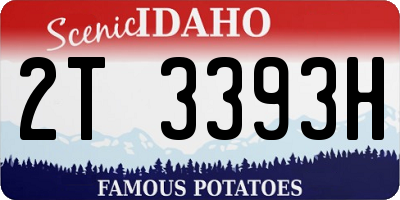 ID license plate 2T3393H