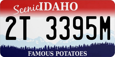 ID license plate 2T3395M