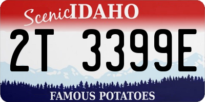 ID license plate 2T3399E