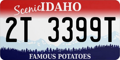 ID license plate 2T3399T