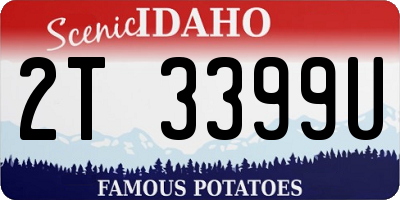 ID license plate 2T3399U