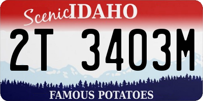 ID license plate 2T3403M