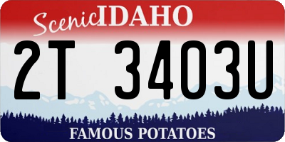 ID license plate 2T3403U