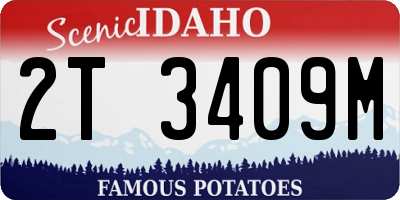 ID license plate 2T3409M