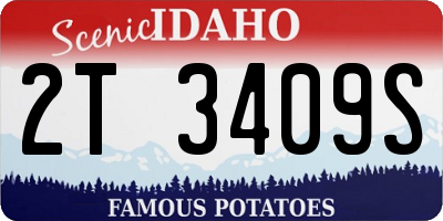 ID license plate 2T3409S