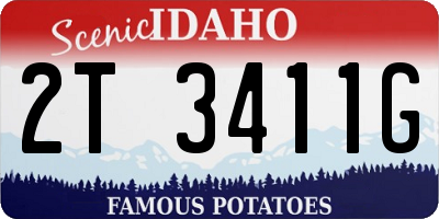 ID license plate 2T3411G