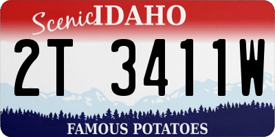 ID license plate 2T3411W
