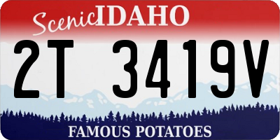 ID license plate 2T3419V