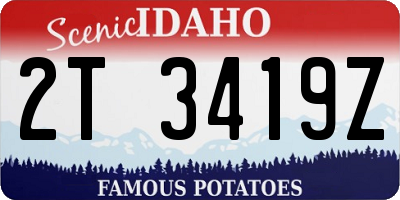 ID license plate 2T3419Z