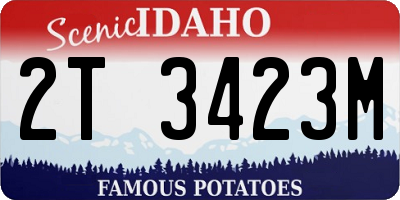 ID license plate 2T3423M