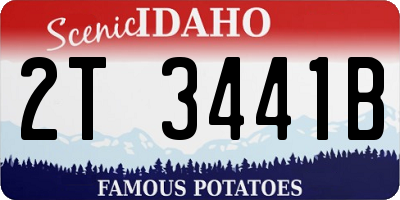 ID license plate 2T3441B
