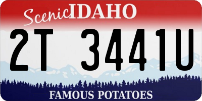 ID license plate 2T3441U