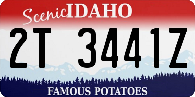 ID license plate 2T3441Z