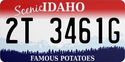 ID license plate 2T3461G