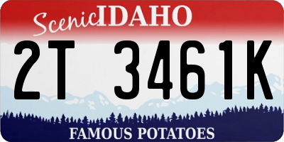 ID license plate 2T3461K
