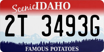 ID license plate 2T3493G