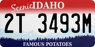 ID license plate 2T3493M