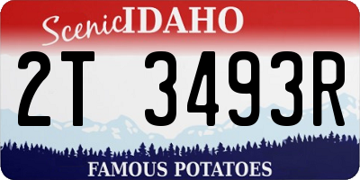 ID license plate 2T3493R
