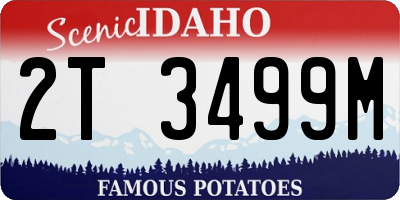 ID license plate 2T3499M