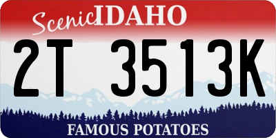 ID license plate 2T3513K