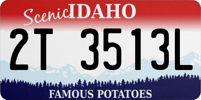 ID license plate 2T3513L