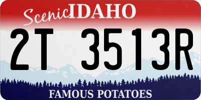 ID license plate 2T3513R