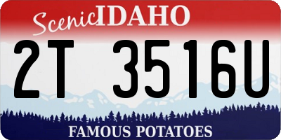 ID license plate 2T3516U