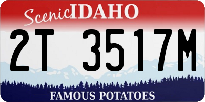 ID license plate 2T3517M