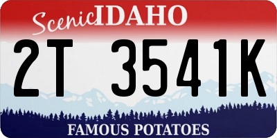 ID license plate 2T3541K