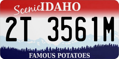 ID license plate 2T3561M